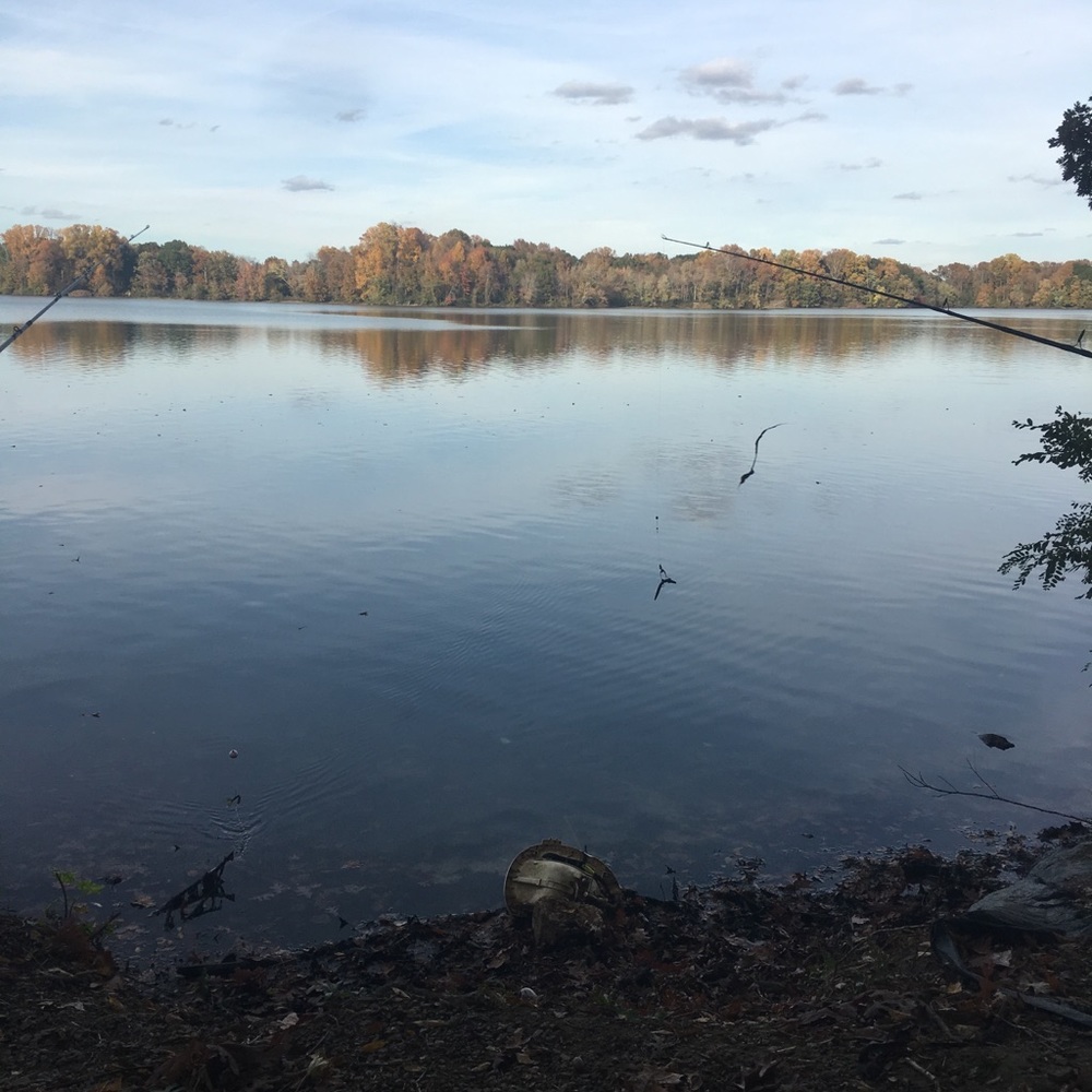 Meet your Posher, Ana